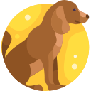 perro icon