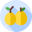 marula icon