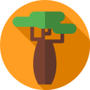 baobab icon