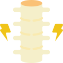 columna vertebral icon