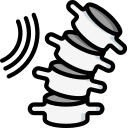 columna vertebral