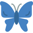 mariposa icon