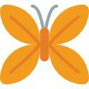 mariposa