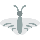 mariposa icon