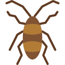 cucaracha icon