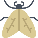 polilla icon