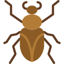 cucaracha icon