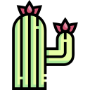 cactus icon