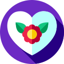 corazón icon