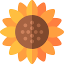 girasol icon