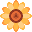 girasol 