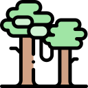 bosque icon