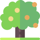 árbol de manzana icon