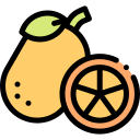 naranja china icon