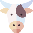 vaca