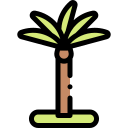 palmera icon