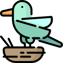 pájaro icon