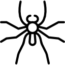 araña icon