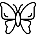 mariposa icon