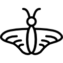 mariposa icon