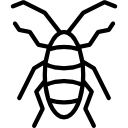 cucaracha icon