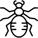 araña icon