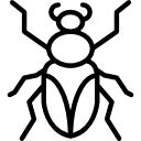 cucaracha icon