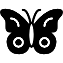 mariposa icon