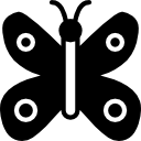 mariposa icon