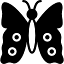 mariposa icon