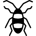 cucaracha icon