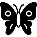 mariposa