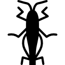 saltamontes icon