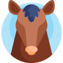 caballo icon