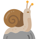 caracol icon