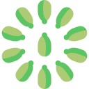 cardamomo icon