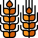 trigo icon