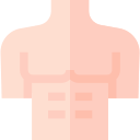 abdominales 