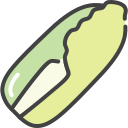 repollo icon