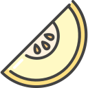 melón icon