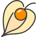 physalis icon