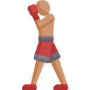 boxer icon