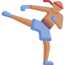 muay thai icon