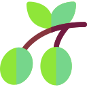 aceituna icon