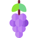 uvas icon