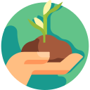 planta de semillero icon