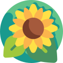 girasol icon