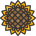 girasol icon