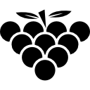 racimo de uvas icon