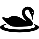 cisne em círculo de água 